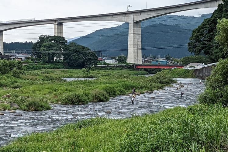 Cover Image for 生きてはゆける