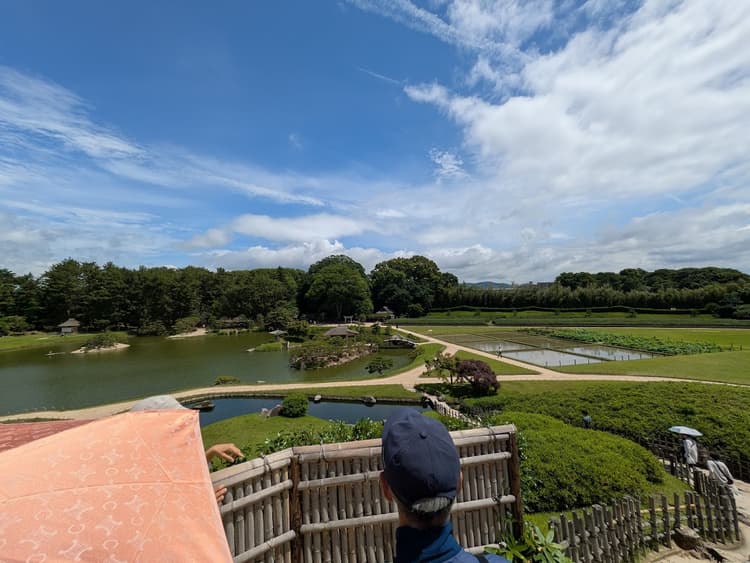 Cover Image for ワシューザン
